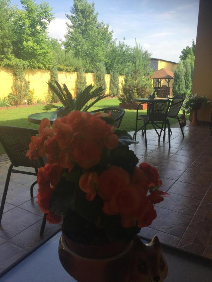 بيرهوف Sunrise Boutique Hotel المظهر الخارجي الصورة